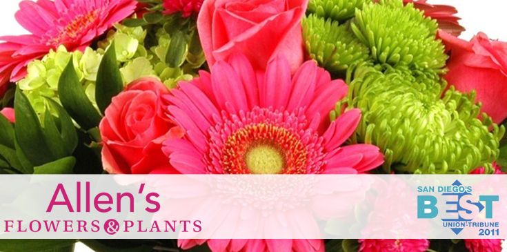 Welcome to Allen's Flowers - 