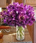 Lilacs