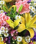 Floral Arrangements