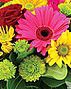 San Diego Florist | Coronado Florist | La Jolla Florist | National City Florist | Del Mar Florist