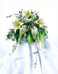 Weddings at Allen's Flowers