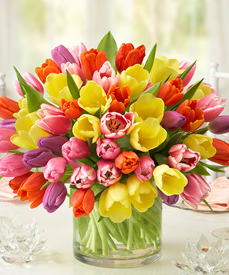 Amazing Tulips