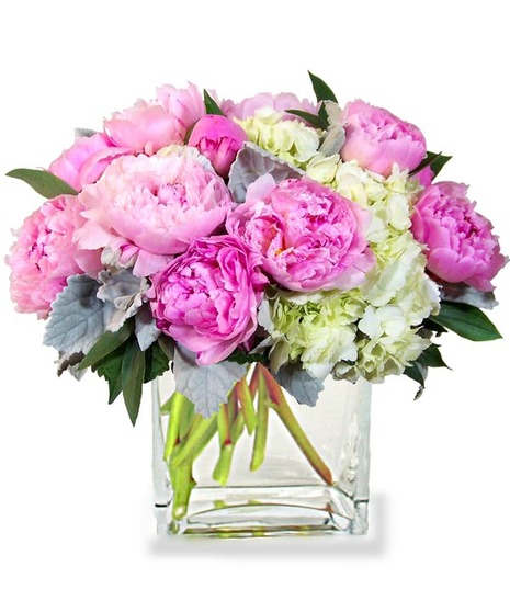 Peony Party