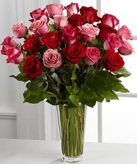 Romance and Roses