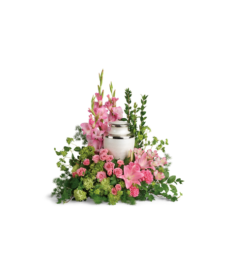 Sacred Solace Cremation Tribute