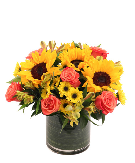 Sunflowers and Cayenne Roses in a Modern White Vase Floral Arrangement