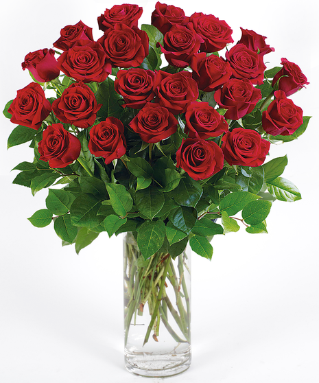Premium Long-Stem Red Roses