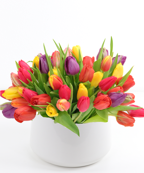 Amazing Tulips