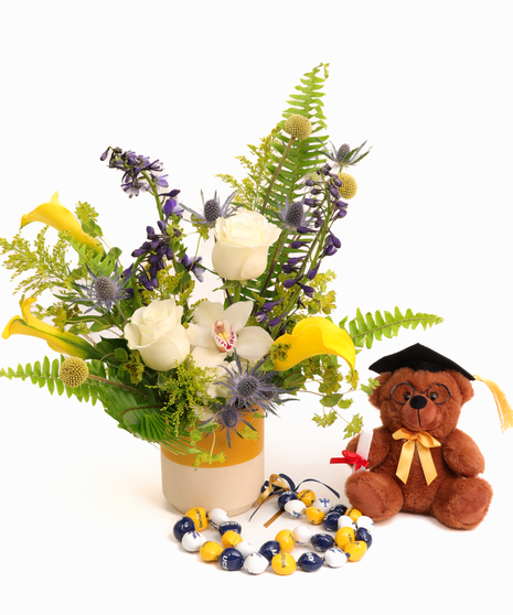 UC San Diego (UCSD) - Graduation Package