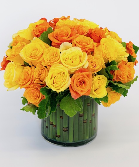 Sunburst Roses