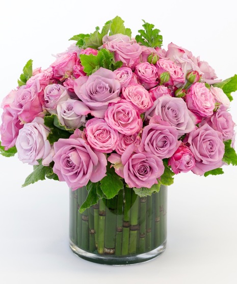 Lavender Rose Garden