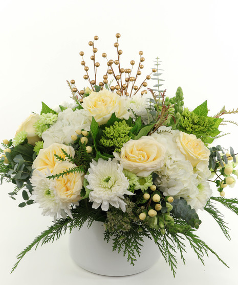 Cali Winter White XL