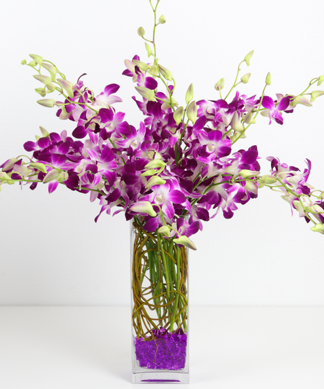 Dendrobium Orchid Vase