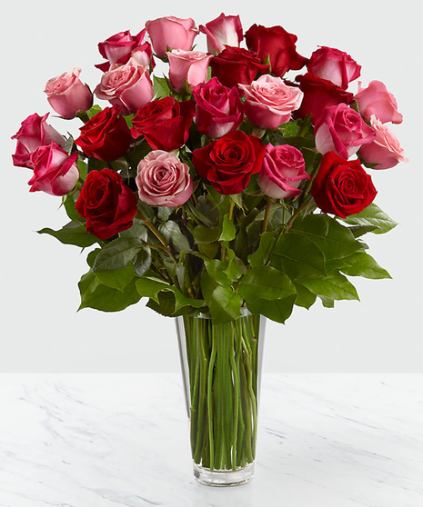 Romance and Roses