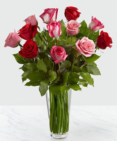 Pink Roses, Red Roses, Long Stem Roses, Ecuadorian Roses,