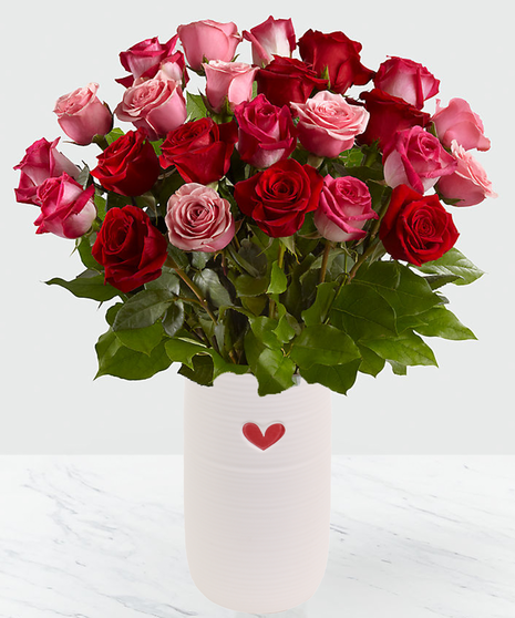 Pink Roses, Red Roses, Long Stem Roses, Ecuadorian Roses,