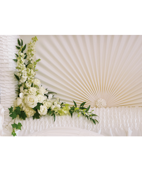 Moonlit Walk Casket Insert