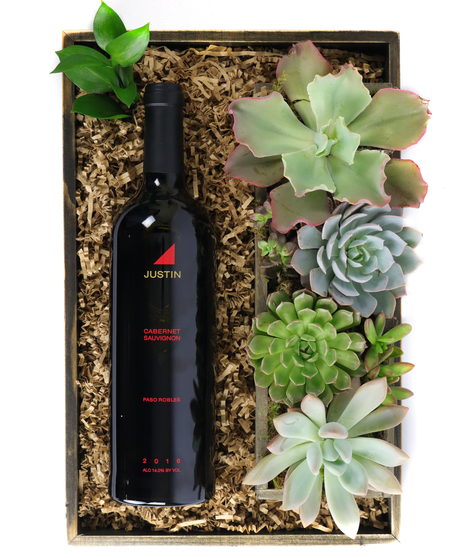 Wine & Succulents - Justin Cabernet
