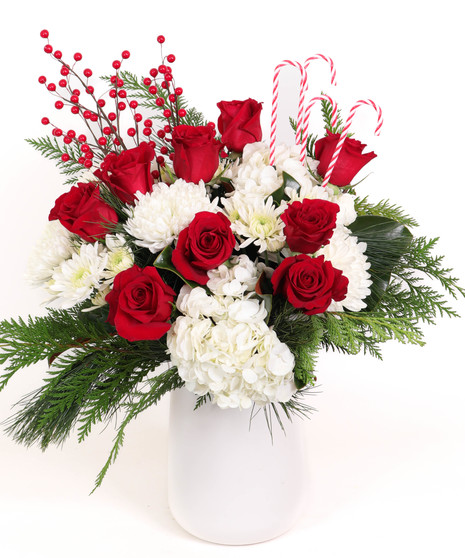 Cali Christmas - DOUBLE THE FLOWERS in White Vase