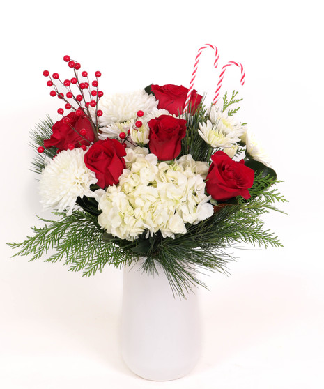 Cali Christmas - Standard in White Vase
