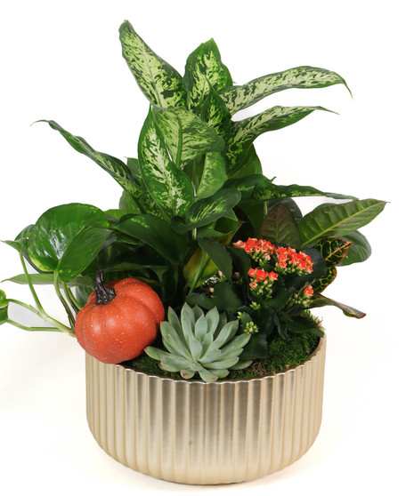 Fall Planter Garden in Gold
