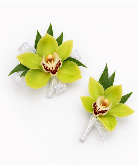 Green Cymbidium Orchid Wearables