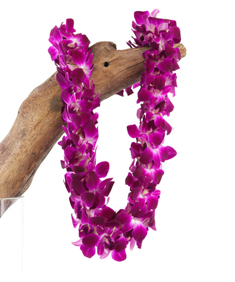 Purple Lei