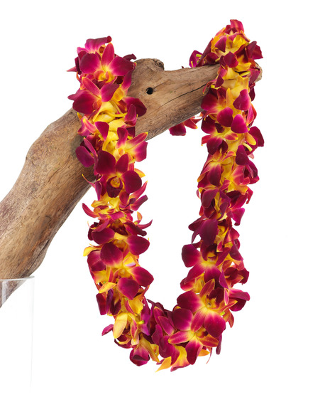 Burgundy Orchid Lei