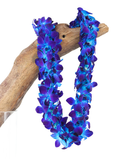 Blue Orchid Lei