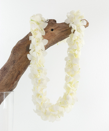 White Orchid Lei