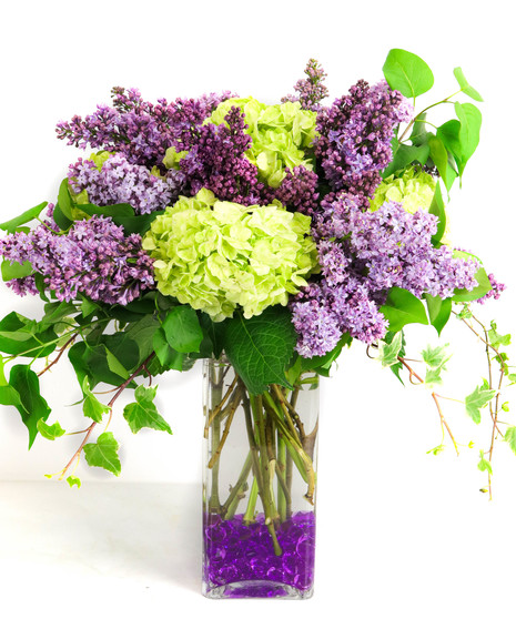Lilac and Hydrangea
