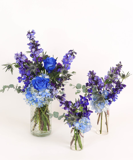 MONOCHROMATIC: BLUE