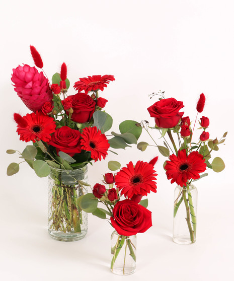 MONOCHROMATIC: RED
