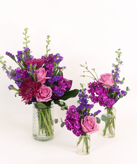 MONOCHROMATIC: PURPLE