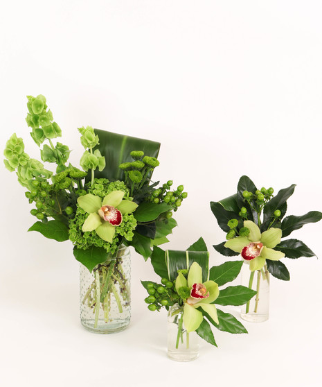 MONOCHROMATIC: GREEN