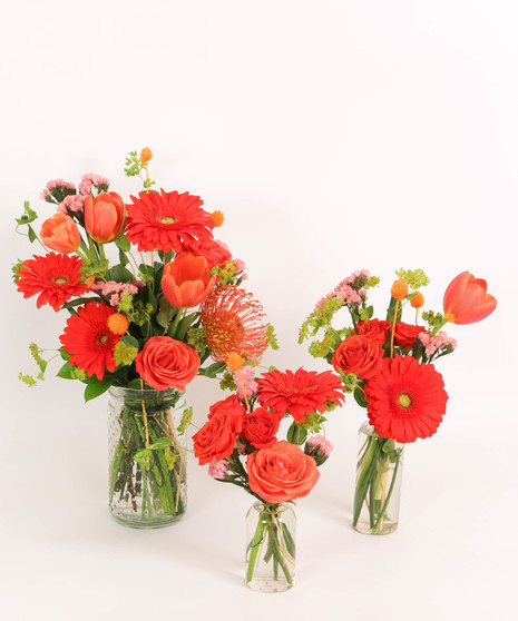 MONOCHROMATIC: ORANGE