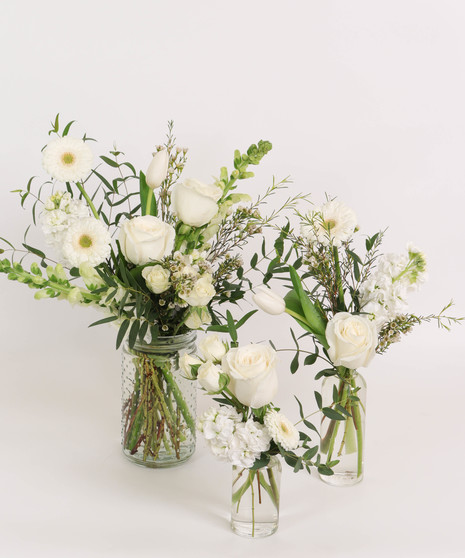 MONOCHROMATIC: WHITE