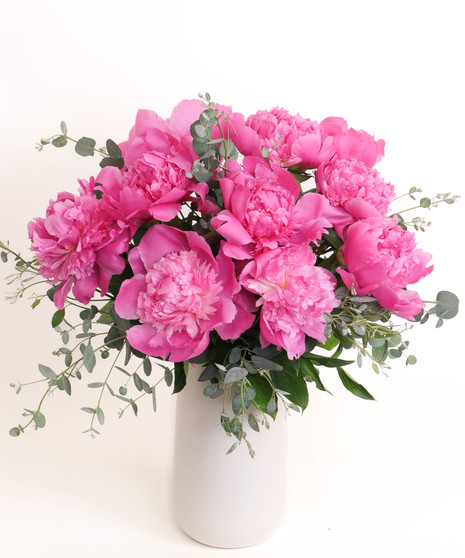 Perfect Peonies