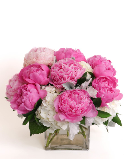 Peony Pleasure