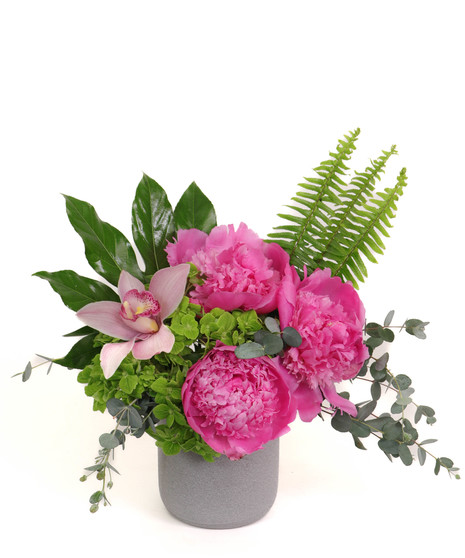 Peony Petite