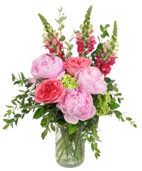 Peony Delight