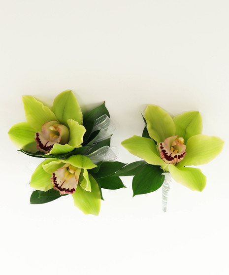 Cymbidium Orchid Wearables