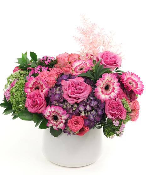 Pretty in Pink XL