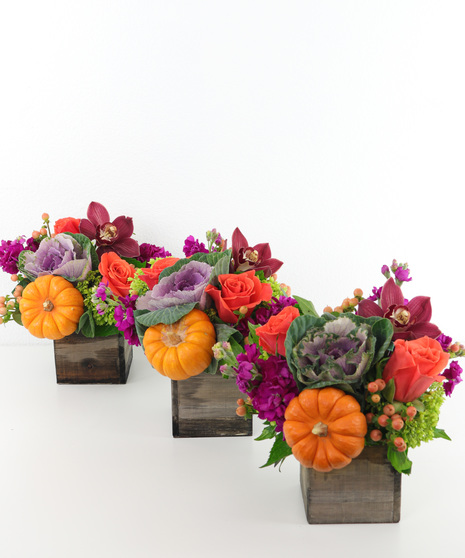 Harvest Trio