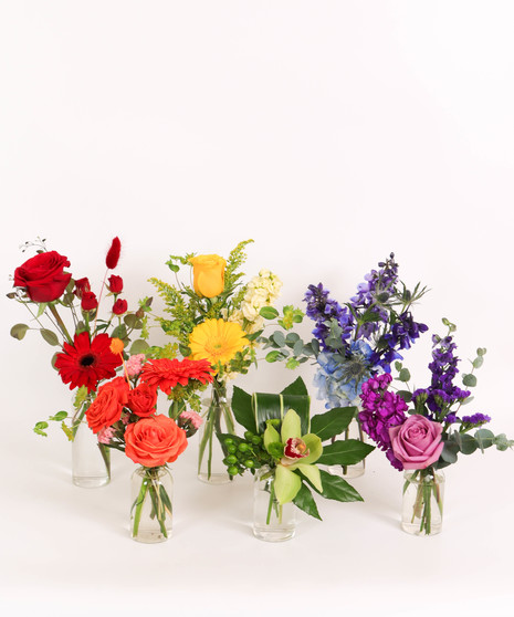 MONOCHROMATIC SET OF SIX BUDVASES