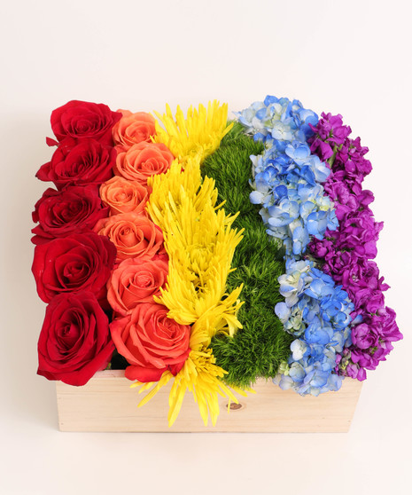 BloomBoxes