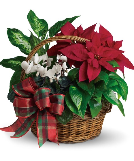 Holiday Basket