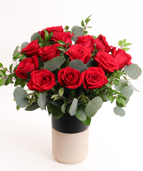 Modern Dozen Red Roses