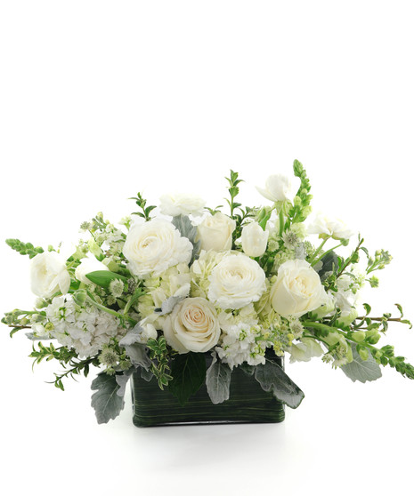 Elegance in White