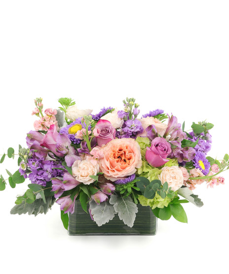 Spring Harmony